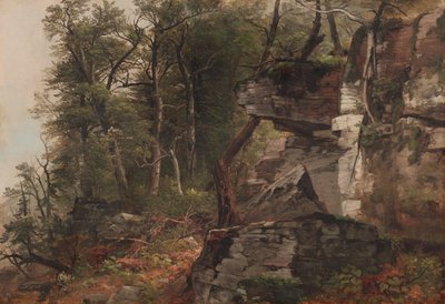 Trees on a Rocky Hillside de Asher Brown Durand