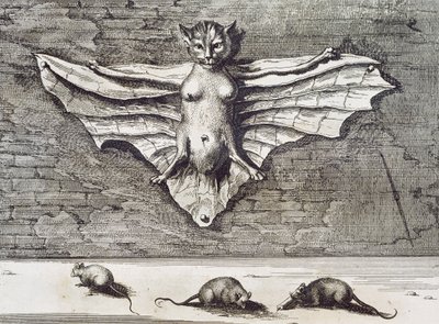Cattus volans, 1667 de Athanasius Kircher