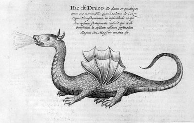 Dragón, 1678 de Athanasius Kircher