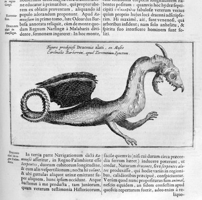 Dragón, 1678 de Athanasius Kircher