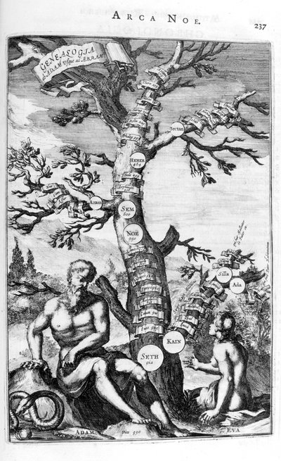 Árbol genealógico de Adán, 1675 de Athanasius Kircher