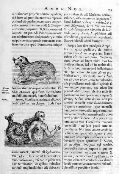 Criaturas míticas, 1675 de Athanasius Kircher