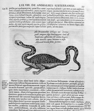 Pequeño dragón, 1678 de Athanasius Kircher