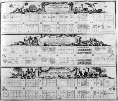 Tabla de las especies, 1765 de Athanasius Kircher
