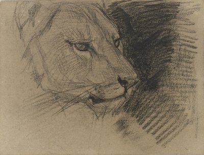 Cabeza de león de August Allebe