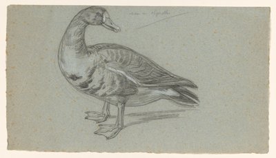 Boceto de un pato disecado de August Allebe
