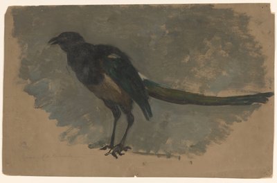 Estudio de una urraca de August Allebe