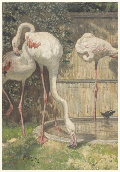 Tres flamencos cerca de una cuenca de August Allebe