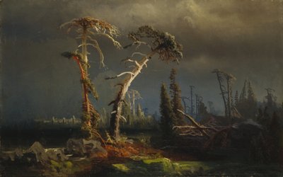 Tormentas crecientes: bosque primitivo extinto en tormentas (óleo sobre lienzo) de August Cappelen