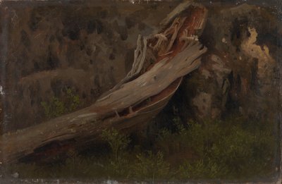 Estudio de un tronco en descomposición de August Cappelen