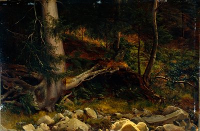 Estudio del suelo del bosque (pintura) de August Cappelen