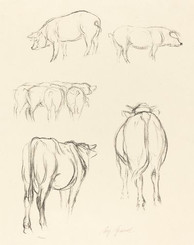 Bocetos de animales de August Gaul
