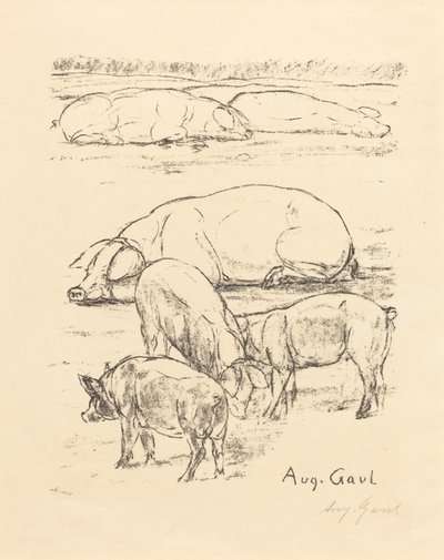 Cerdos de August Gaul