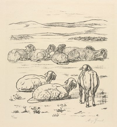 Ovejas de August Gaul