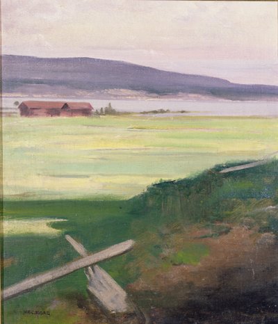 Paisaje con un estilo, Norrland, Suecia de August Hagborg