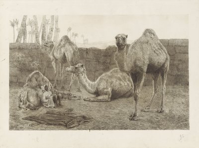 camellos de August Le Gras