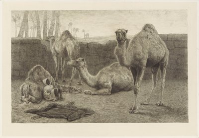 Camellos de August Le Gras