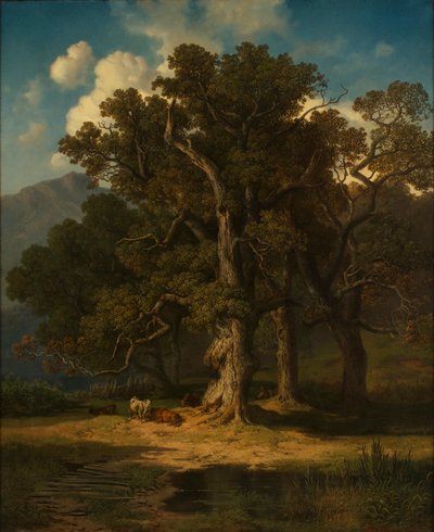 paisaje forestal de August Maximilian Zimmermann