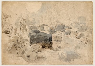 Gebirgsbach de August Seidel
