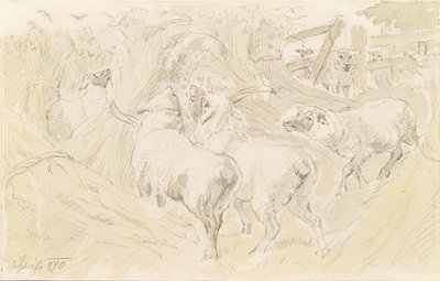 Ovejas en grano de August Spiess
