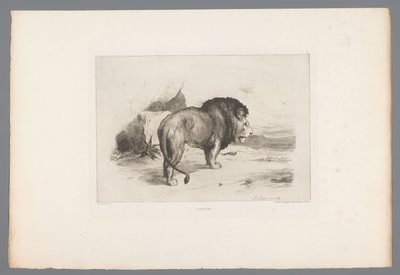 León
Un viejo león (título en el objeto)
Grabados franceses de 1874 (título de la serie)
L