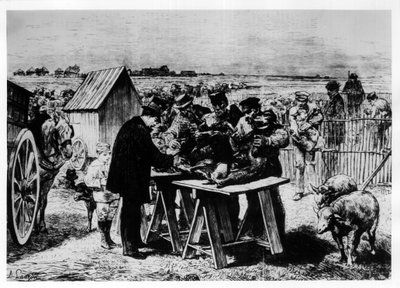 Vacunación de ovejas por Pasteur, grabado por A. Lançon. de Auguste Andre Lancon