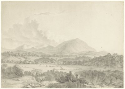 Paisaje javanés de Auguste Antoine Joseph Payen