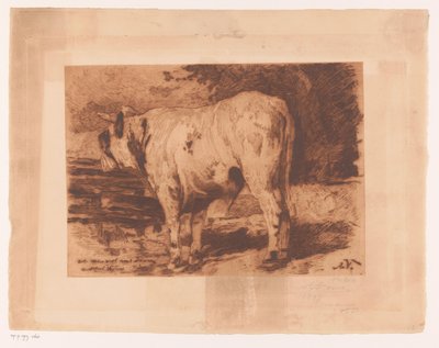 Toro en la pradera de Auguste Danse (signed by artist)