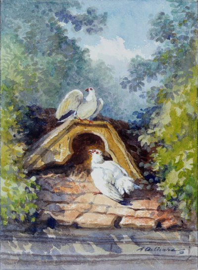 Las dos palomas en acuarela de Auguste Delierre (1829-1891) para la fábula de Jean de la Fontaine (1621-1695) siglo XIX. Chateau Thierry. Museo de la Fontaine de Auguste Delierre