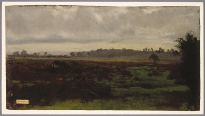Pantanos, mediados de 1850 de Auguste Francois Bonheur