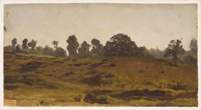 Vista de un campo, principios de 1850 de Auguste Francois Bonheur