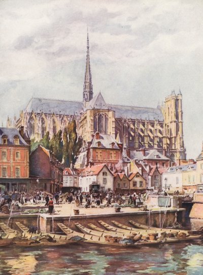 Francia: La Cathedrale D