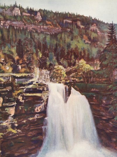 Francia: Le Saut Du Doubs (litografía en color) de Auguste Gerardin