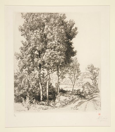 El pequeño valle de Morin cerca de Verdelot (Seine-et-Marne) (Pequeño valle de Morin cerca de Verdelot [Seine-et-Marne]) de Auguste Lepere