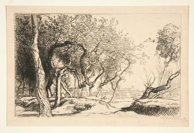 Árboles retorcidos (Saint-Jean-de-Monts) de Auguste Lepere