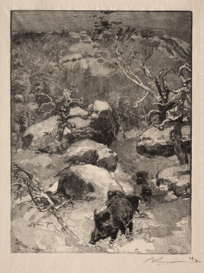 Roca Cuvier Chatillon de Auguste Louis Lepère