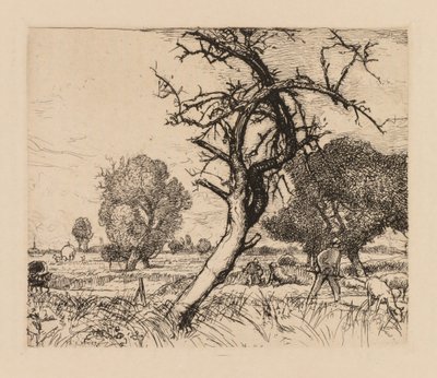Auguste Lepère: El manzano muerto (Picardía) de Auguste Louis Lepère