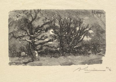 Bosque de Fontainebleau: Au dormoir de Lantara (La Forêt de Fontainebleau: Au dormoir de Lantara) de Auguste Louis Lepère