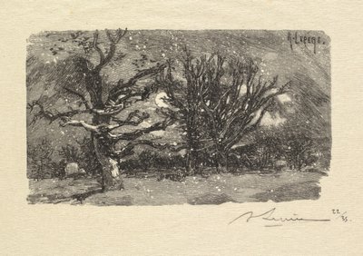 Bosque de Fontainebleau: En el dormitorio de Lantara, 1890 de Auguste Louis Lepère