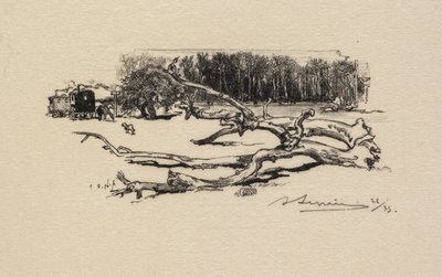 Bosque de Fontainebleau: Carrefour de l