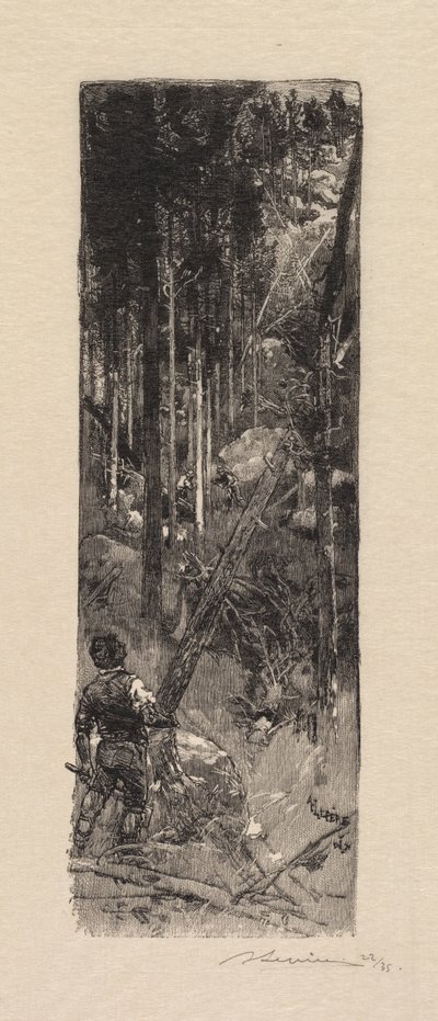 Bosque de Fontainebleau: Corte de pinos, 1890 de Auguste Louis Lepère