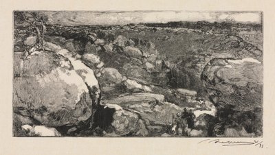 Bosque de Fontainebleau: El Circo de Long-Rocher, 1888 de Auguste Louis Lepère