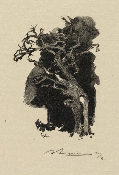 Bosque de Fontainebleau: El furioso, 1890 de Auguste Louis Lepère