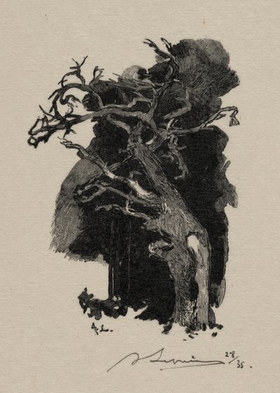 Le Rageur de Auguste Louis Lepère