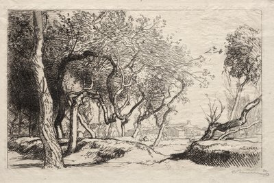 El Árbol Retorcido, 1915 de Auguste Louis Lepère