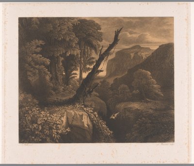 Paisaje de montaña con un pájaro volando por un barranco
Dix eaux-fortes par A. Numans (título de la serie)
Rostros de Auguste Numans según otros artistas (título de la serie) de Auguste Numans