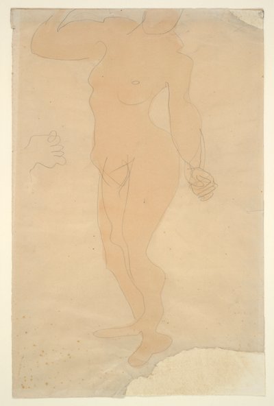 Desnudo de pie (cabeza parcialmente cortada por el borde del papel) de Auguste Rodin
