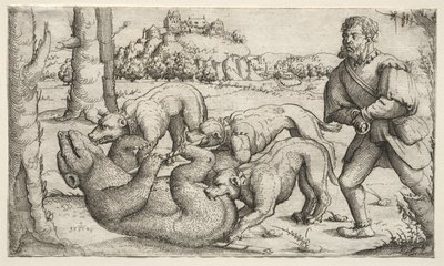  de Augustin Hirschvogel