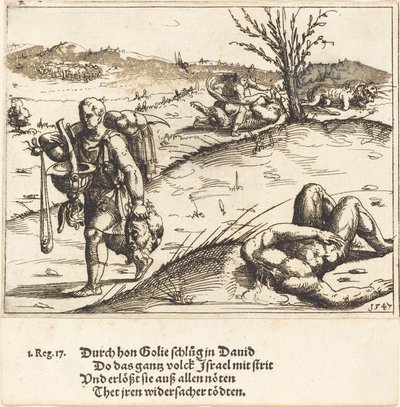 David decapita a Goliat de Augustin Hirschvogel