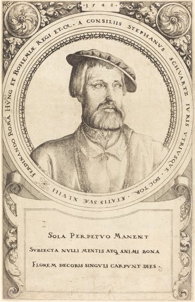 Doctor Stephen Schwartz de Augustin Hirschvogel